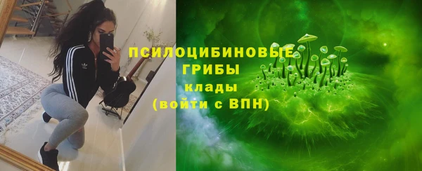 эйфоретик Беломорск