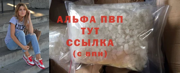 эйфоретик Беломорск