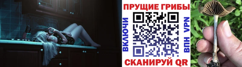 Купить где  Кувандык  Галлюциногенные грибы ЛСД 